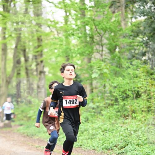 13.04.2025 - Hammer Lauf Dr. Thomas Lammeyer http://msf.ph/oto/7629029 13.04.2025 09:22:56 Laufen 15, 15, 1492 meine-sportfotos.de