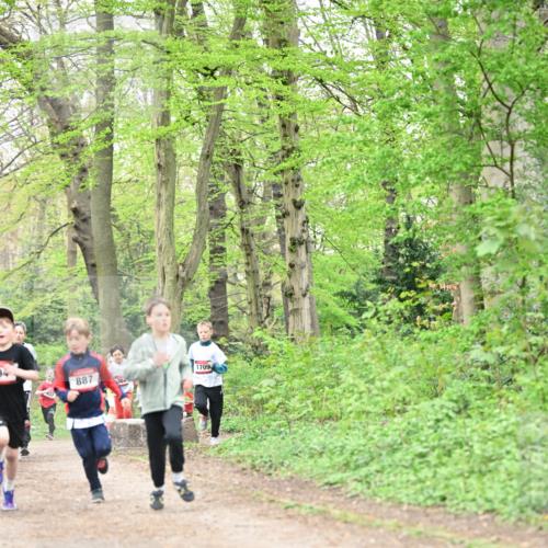 13.04.2025 - Hammer Lauf Dr. Thomas Lammeyer http://msf.ph/oto/7629046 13.04.2025 09:22:58 Laufen 94, 887, 1709 meine-sportfotos.de