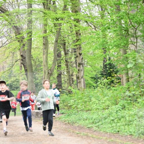 13.04.2025 - Hammer Lauf Dr. Thomas Lammeyer http://msf.ph/oto/7629048 13.04.2025 09:22:58 Laufen 594, 933, 887 meine-sportfotos.de
