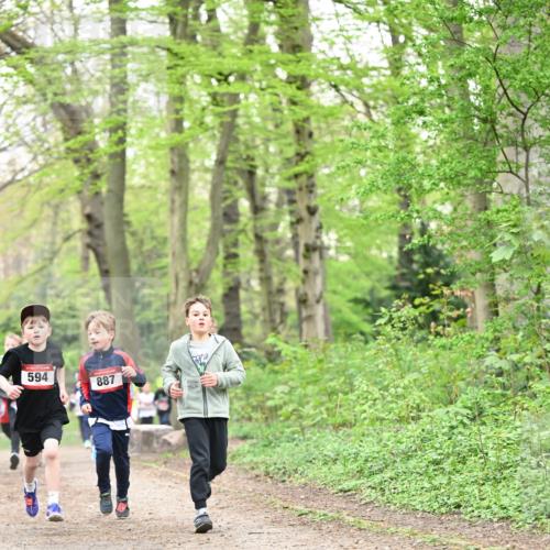 13.04.2025 - Hammer Lauf Dr. Thomas Lammeyer http://msf.ph/oto/7629051 13.04.2025 09:22:58 Laufen 594, 887 meine-sportfotos.de