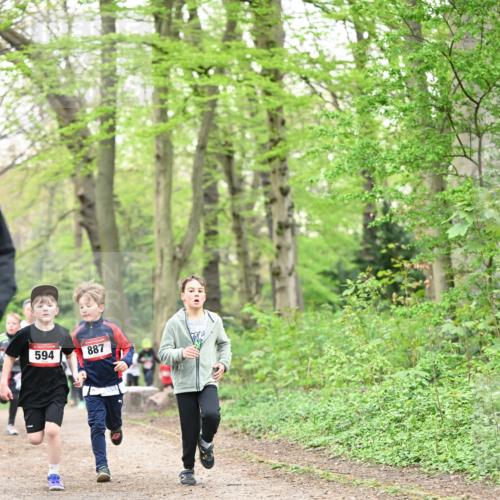 13.04.2025 - Hammer Lauf Dr. Thomas Lammeyer http://msf.ph/oto/7629053 13.04.2025 09:22:58 Laufen 594, 887 meine-sportfotos.de
