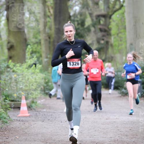 13.04.2025 - Hammer Lauf Jannik Wohlers http://msf.ph/oto/7629055 13.04.2025 12:43:15 Laufen 15, 1326, 179 meine-sportfotos.de