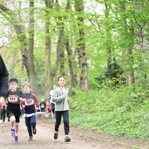 13.04.2025 - Hammer Lauf Dr. Thomas Lammeyer http://msf.ph/oto/7629056 13.04.2025 09:22:58 Laufen 594, 887 meine-sportfotos.de