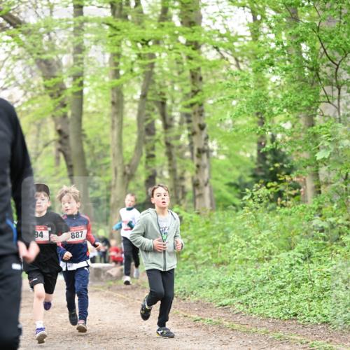 13.04.2025 - Hammer Lauf Dr. Thomas Lammeyer http://msf.ph/oto/7629059 13.04.2025 09:22:58 Laufen 94, 887 meine-sportfotos.de