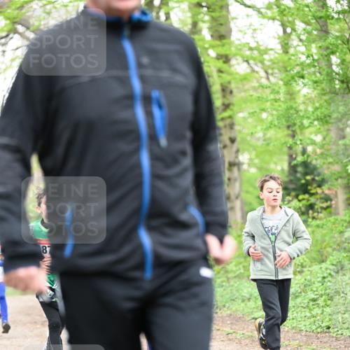 13.04.2025 - Hammer Lauf Dr. Thomas Lammeyer http://msf.ph/oto/7629072 13.04.2025 09:22:59 Laufen  meine-sportfotos.de