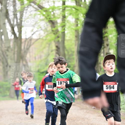 13.04.2025 - Hammer Lauf Dr. Thomas Lammeyer http://msf.ph/oto/7629076 13.04.2025 09:23:00 Laufen 88, 15, 1839, 15, 594 meine-sportfotos.de