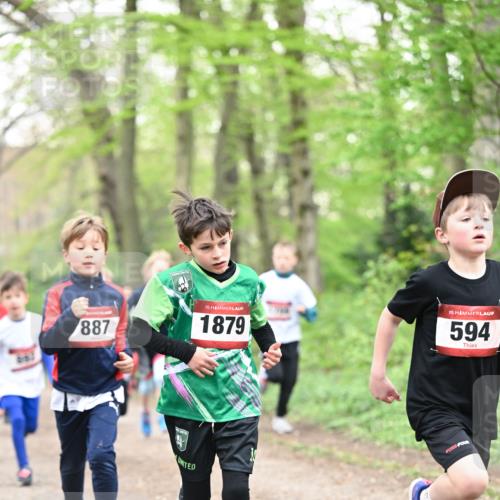 13.04.2025 - Hammer Lauf Dr. Thomas Lammeyer http://msf.ph/oto/7629083 13.04.2025 09:23:00 Laufen 887, 15, 1879, 15, 594 meine-sportfotos.de