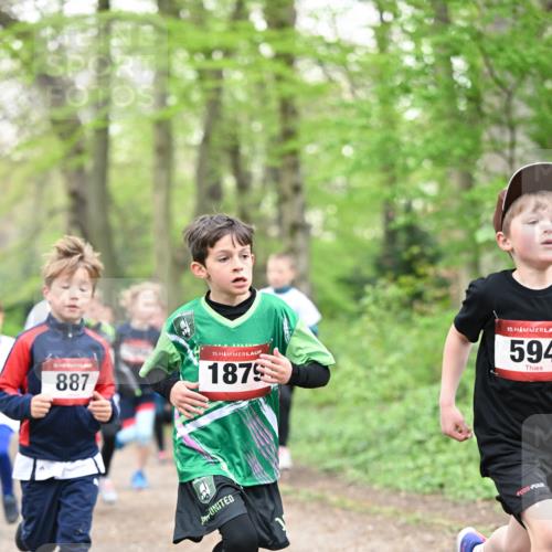 13.04.2025 - Hammer Lauf Dr. Thomas Lammeyer http://msf.ph/oto/7629085 13.04.2025 09:23:00 Laufen 887, 15, 1875, 15, 594 meine-sportfotos.de