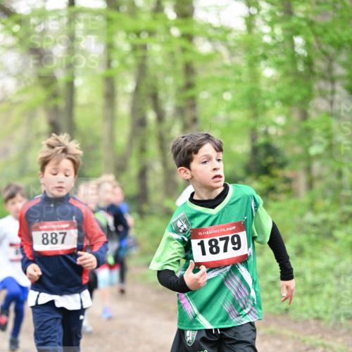 13.04.2025 - Hammer Lauf Dr. Thomas Lammeyer http://msf.ph/oto/7629090 13.04.2025 09:23:01 Laufen 887, 15, 1879 meine-sportfotos.de