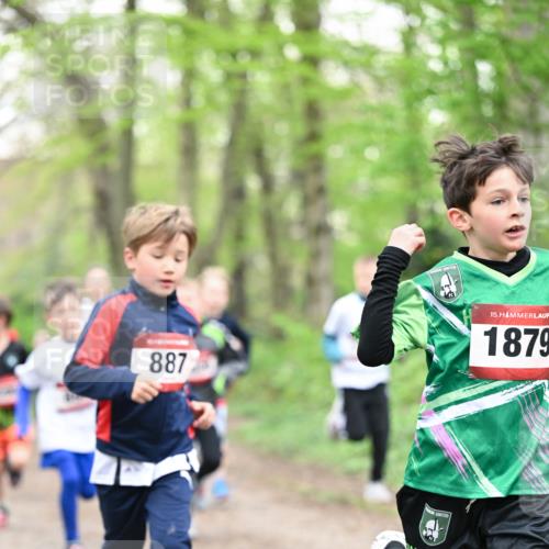 13.04.2025 - Hammer Lauf Dr. Thomas Lammeyer http://msf.ph/oto/7629092 13.04.2025 09:23:01 Laufen 887, 15, 1879 meine-sportfotos.de