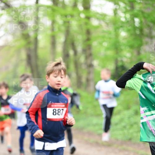 13.04.2025 - Hammer Lauf Dr. Thomas Lammeyer http://msf.ph/oto/7629094 13.04.2025 09:23:01 Laufen 887 meine-sportfotos.de
