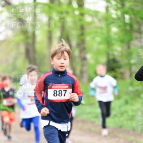 13.04.2025 - Hammer Lauf Dr. Thomas Lammeyer http://msf.ph/oto/7629097 13.04.2025 09:23:01 Laufen 887 meine-sportfotos.de