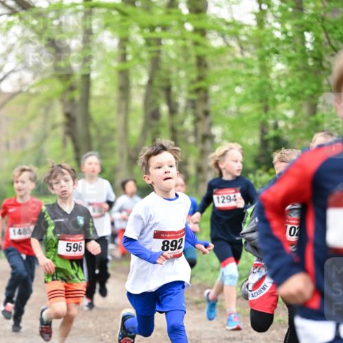 13.04.2025 - Hammer Lauf Dr. Thomas Lammeyer http://msf.ph/oto/7629105 13.04.2025 09:23:02 Laufen 1485, 596, 15, 892, 1294, 102 meine-sportfotos.de