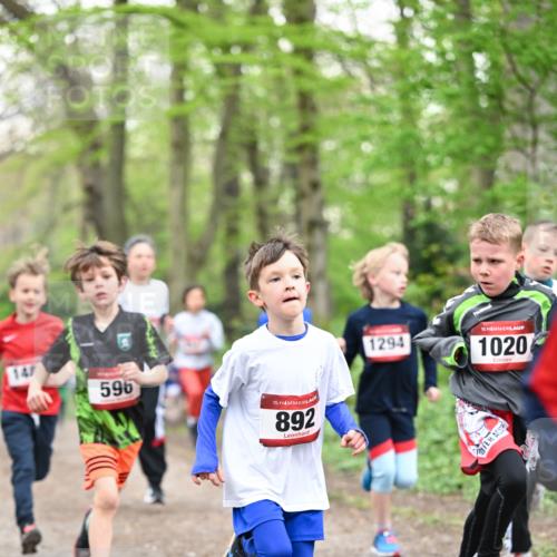 13.04.2025 - Hammer Lauf Dr. Thomas Lammeyer http://msf.ph/oto/7629107 13.04.2025 09:23:02 Laufen 147, 596, 15, 892, 1294, 15, 1020 meine-sportfotos.de