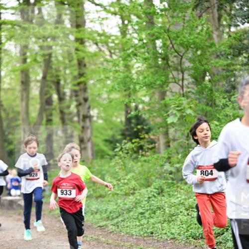 13.04.2025 - Hammer Lauf Dr. Thomas Lammeyer http://msf.ph/oto/7629136 13.04.2025 09:23:04 Laufen 928, 933, 15, 804 meine-sportfotos.de