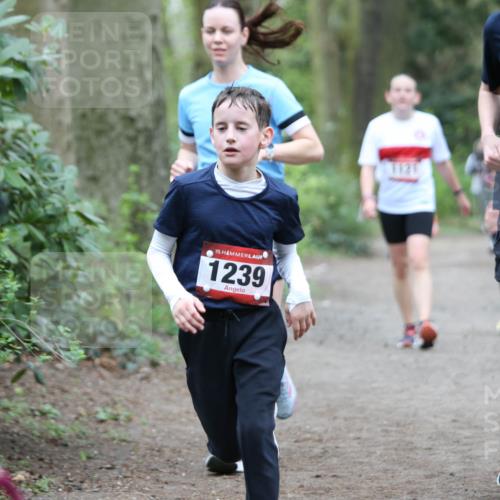 13.04.2025 - Hammer Lauf Jannik Wohlers http://msf.ph/oto/7629138 13.04.2025 12:43:04 Laufen 15, 1239, 1121, 2025, 15, 1179 meine-sportfotos.de