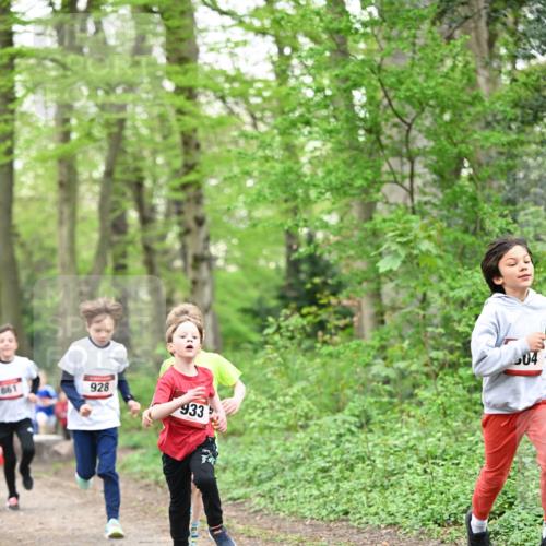 13.04.2025 - Hammer Lauf Dr. Thomas Lammeyer http://msf.ph/oto/7629139 13.04.2025 09:23:05 Laufen 861, 928, 933, 504 meine-sportfotos.de