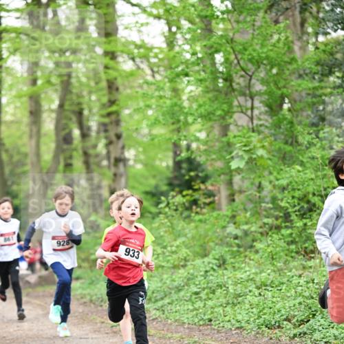 13.04.2025 - Hammer Lauf Dr. Thomas Lammeyer http://msf.ph/oto/7629141 13.04.2025 09:23:05 Laufen 928, 933 meine-sportfotos.de