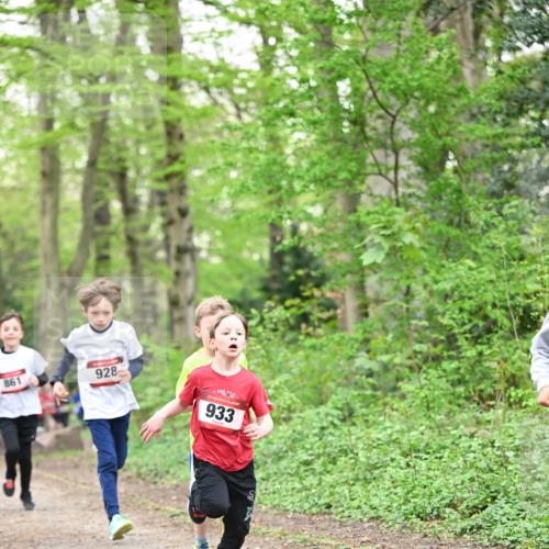 13.04.2025 - Hammer Lauf Dr. Thomas Lammeyer http://msf.ph/oto/7629143 13.04.2025 09:23:05 Laufen 861, 928, 15, 933 meine-sportfotos.de