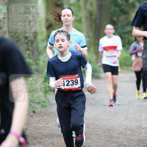 13.04.2025 - Hammer Lauf Jannik Wohlers http://msf.ph/oto/7629144 13.04.2025 12:43:04 Laufen 1152, 15, 1239, 121, 1179 meine-sportfotos.de