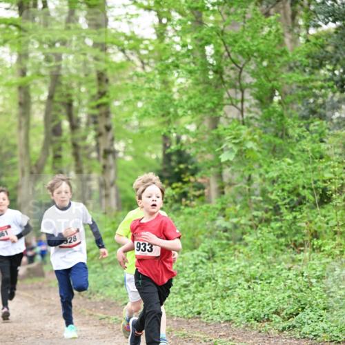 13.04.2025 - Hammer Lauf Dr. Thomas Lammeyer http://msf.ph/oto/7629145 13.04.2025 09:23:05 Laufen 28, 933 meine-sportfotos.de