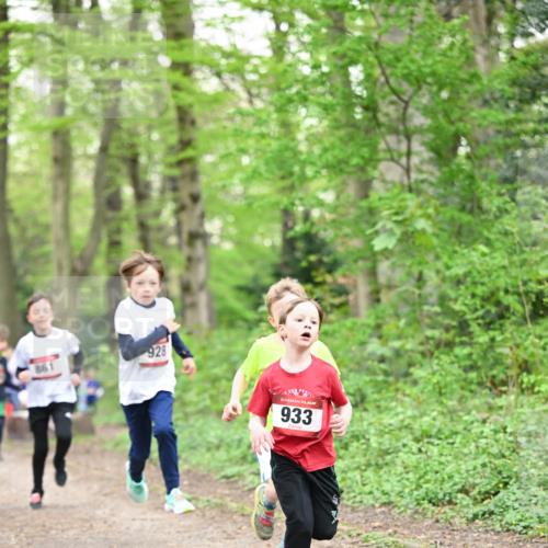13.04.2025 - Hammer Lauf Dr. Thomas Lammeyer http://msf.ph/oto/7629147 13.04.2025 09:23:05 Laufen 928, 933 meine-sportfotos.de