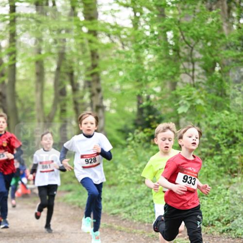 13.04.2025 - Hammer Lauf Dr. Thomas Lammeyer http://msf.ph/oto/7629151 13.04.2025 09:23:05 Laufen 86, 928, 15, 933 meine-sportfotos.de