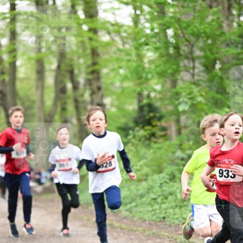 13.04.2025 - Hammer Lauf Dr. Thomas Lammeyer http://msf.ph/oto/7629156 13.04.2025 09:23:06 Laufen 28, 15, 935 meine-sportfotos.de