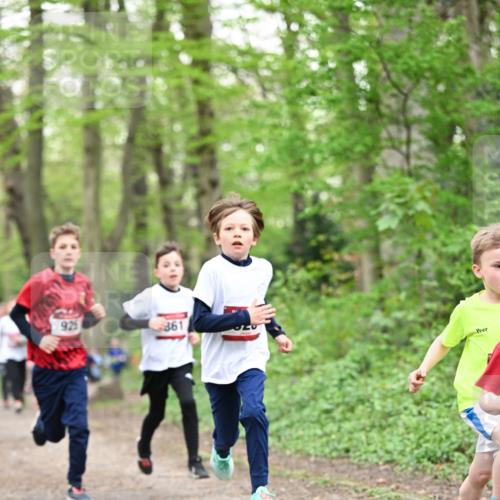 13.04.2025 - Hammer Lauf Dr. Thomas Lammeyer http://msf.ph/oto/7629158 13.04.2025 09:23:06 Laufen 925, 861 meine-sportfotos.de