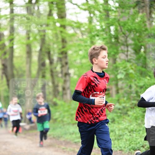 13.04.2025 - Hammer Lauf Dr. Thomas Lammeyer http://msf.ph/oto/7629176 13.04.2025 09:23:07 Laufen 15 meine-sportfotos.de