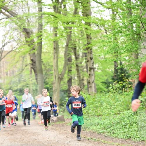 13.04.2025 - Hammer Lauf Dr. Thomas Lammeyer http://msf.ph/oto/7629180 13.04.2025 09:23:07 Laufen 1155, 1242, 1909, 834 meine-sportfotos.de