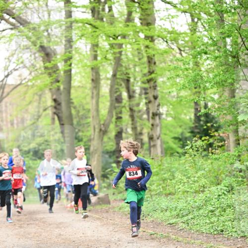 13.04.2025 - Hammer Lauf Dr. Thomas Lammeyer http://msf.ph/oto/7629183 13.04.2025 09:23:07 Laufen 124, 309, 834 meine-sportfotos.de