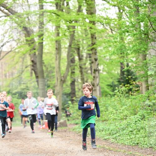 13.04.2025 - Hammer Lauf Dr. Thomas Lammeyer http://msf.ph/oto/7629188 13.04.2025 09:23:08 Laufen 115, 1909 meine-sportfotos.de