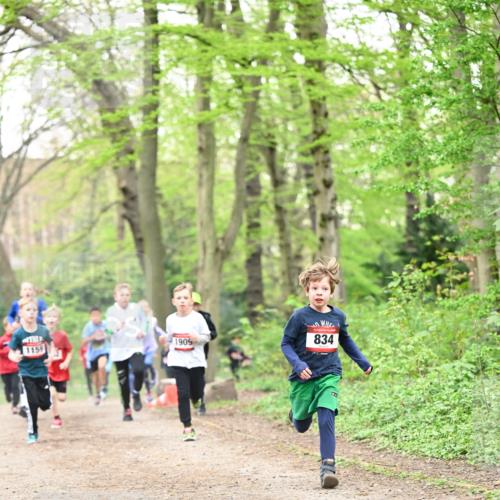 13.04.2025 - Hammer Lauf Dr. Thomas Lammeyer http://msf.ph/oto/7629190 13.04.2025 09:23:08 Laufen 1159, 1909, 834 meine-sportfotos.de
