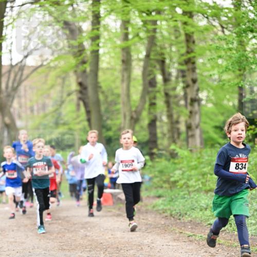 13.04.2025 - Hammer Lauf Dr. Thomas Lammeyer http://msf.ph/oto/7629197 13.04.2025 09:23:08 Laufen 1159, 1909, 15, 834 meine-sportfotos.de