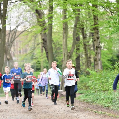 13.04.2025 - Hammer Lauf Dr. Thomas Lammeyer http://msf.ph/oto/7629201 13.04.2025 09:23:09 Laufen 898, 1517, 1159, 2, 1909 meine-sportfotos.de