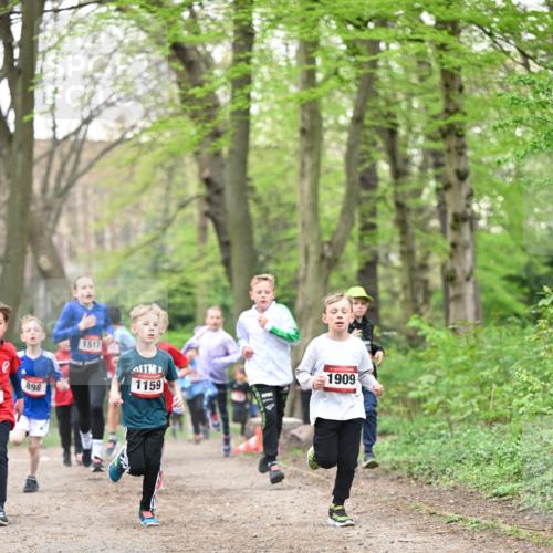13.04.2025 - Hammer Lauf Dr. Thomas Lammeyer http://msf.ph/oto/7629203 13.04.2025 09:23:09 Laufen 898, 1517, 1909, 1159 meine-sportfotos.de