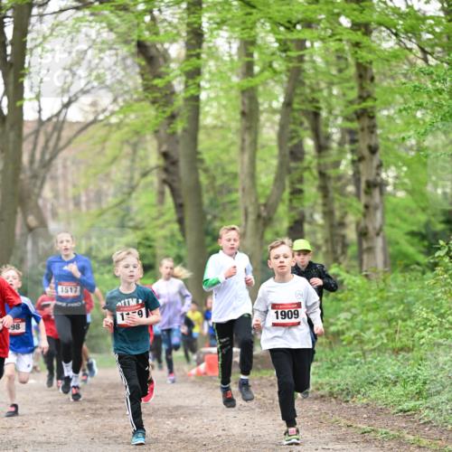 13.04.2025 - Hammer Lauf Dr. Thomas Lammeyer http://msf.ph/oto/7629209 13.04.2025 09:23:09 Laufen 98, 1517, 19, 1909 meine-sportfotos.de