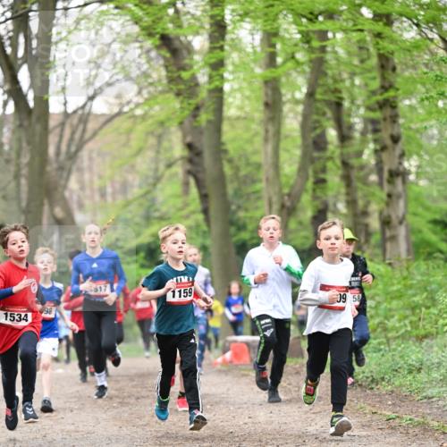 13.04.2025 - Hammer Lauf Dr. Thomas Lammeyer http://msf.ph/oto/7629215 13.04.2025 09:23:09 Laufen 1534, 98, 1159, 09, 58 meine-sportfotos.de