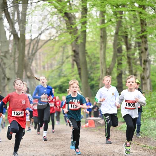 13.04.2025 - Hammer Lauf Dr. Thomas Lammeyer http://msf.ph/oto/7629218 13.04.2025 09:23:10 Laufen 15, 1534, 1517, 115, 1909, 5 meine-sportfotos.de
