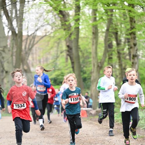 13.04.2025 - Hammer Lauf Dr. Thomas Lammeyer http://msf.ph/oto/7629224 13.04.2025 09:23:10 Laufen 1534, 1517, 1159, 1909 meine-sportfotos.de