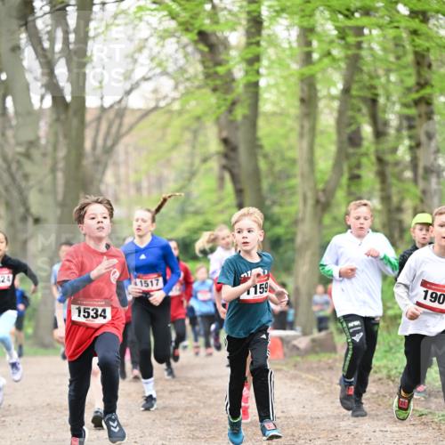 13.04.2025 - Hammer Lauf Dr. Thomas Lammeyer http://msf.ph/oto/7629227 13.04.2025 09:23:10 Laufen 24, 15, 1534, 1517, 1, 159, 15, 190 meine-sportfotos.de