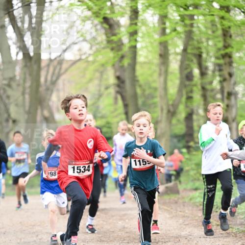 13.04.2025 - Hammer Lauf Dr. Thomas Lammeyer http://msf.ph/oto/7629234 13.04.2025 09:23:10 Laufen 98, 15, 1534, 115 meine-sportfotos.de