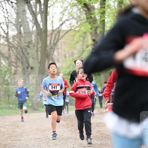 13.04.2025 - Hammer Lauf Dr. Thomas Lammeyer http://msf.ph/oto/7629276 13.04.2025 09:23:13 Laufen 541, 29 meine-sportfotos.de