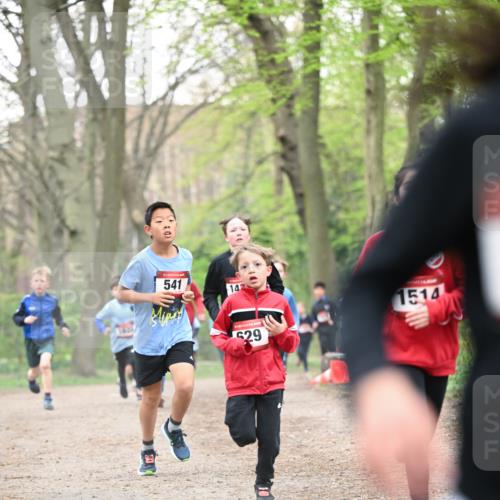 13.04.2025 - Hammer Lauf Dr. Thomas Lammeyer http://msf.ph/oto/7629278 13.04.2025 09:23:13 Laufen 541, 14, 29, 1514 meine-sportfotos.de