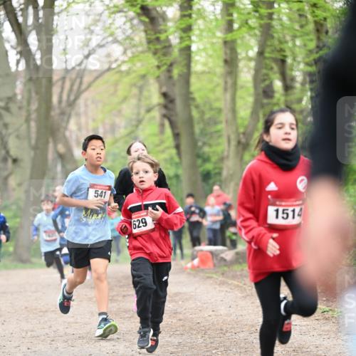 13.04.2025 - Hammer Lauf Dr. Thomas Lammeyer http://msf.ph/oto/7629281 13.04.2025 09:23:13 Laufen 541, 629, 1514 meine-sportfotos.de