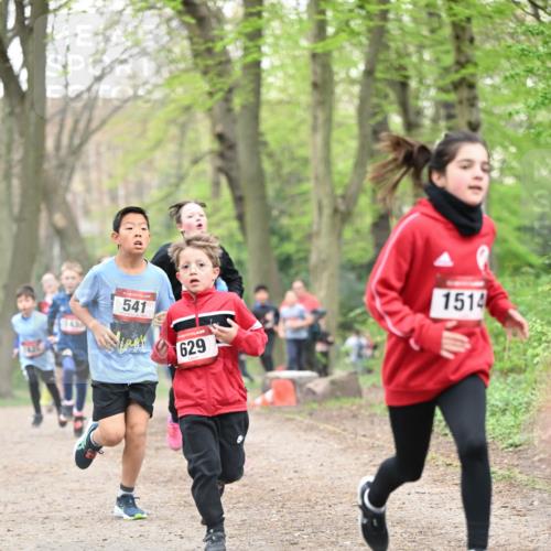 13.04.2025 - Hammer Lauf Dr. Thomas Lammeyer http://msf.ph/oto/7629284 13.04.2025 09:23:13 Laufen 541, 629, 1514 meine-sportfotos.de
