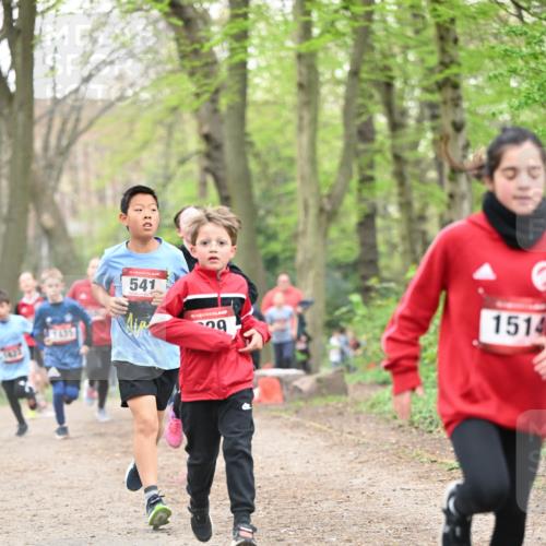 13.04.2025 - Hammer Lauf Dr. Thomas Lammeyer http://msf.ph/oto/7629287 13.04.2025 09:23:14 Laufen 1435, 15, 541, 29, 1514 meine-sportfotos.de