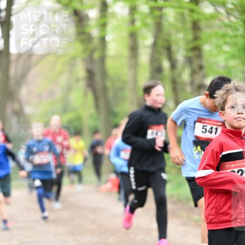 13.04.2025 - Hammer Lauf Dr. Thomas Lammeyer http://msf.ph/oto/7629305 13.04.2025 09:23:15 Laufen 541, 15 meine-sportfotos.de