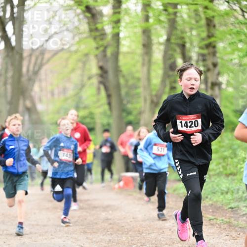 13.04.2025 - Hammer Lauf Dr. Thomas Lammeyer http://msf.ph/oto/7629308 13.04.2025 09:23:15 Laufen 143, 531, 15, 1420, 9 meine-sportfotos.de